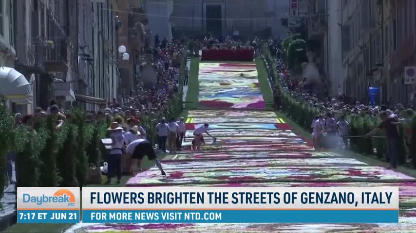 V1_PKG-Italian-street-floral-artwork