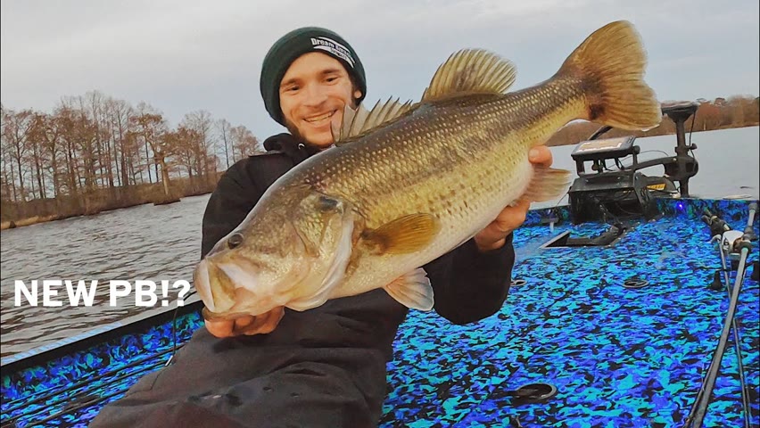 Multiple BIG Bass & Giant Swimbait Fish!! Two Weeks Of Winter Bass Fishing PAYS Off