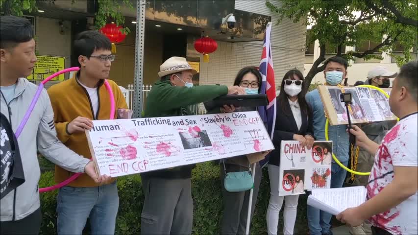 海外華人連署致洛城中領館關注徐州八孩母親「鎖鏈女」
