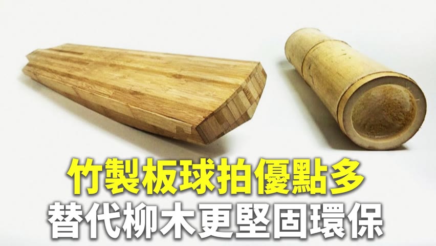 竹製板球拍優點多 替代柳木更堅固環保 - 傳統板球 - 新唐人亞太電視台