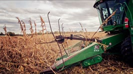 The Wheel of Despair | Harvesting with a Corn Reel