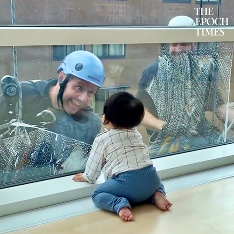 Window Washers Make Friends With Little Boy and Cat
