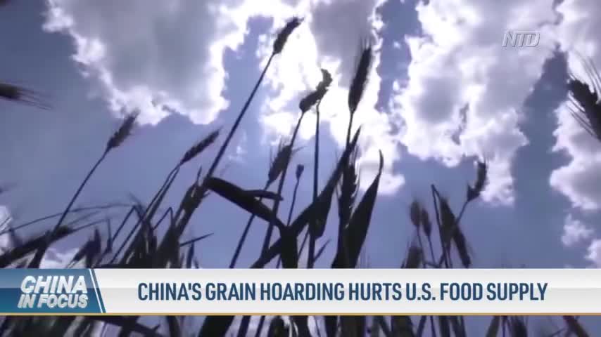 China’s Grain Hoarding Hurts US Food Supply