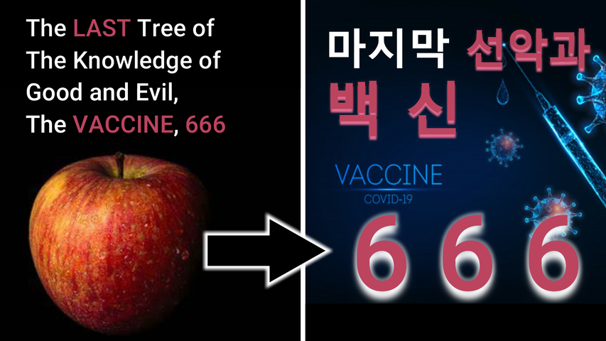 The Last Tree of The Knowledge of Good and Evil, The Vaccine 666, Rapture Imminent/마지막 선악과 백신, 휴거 임박