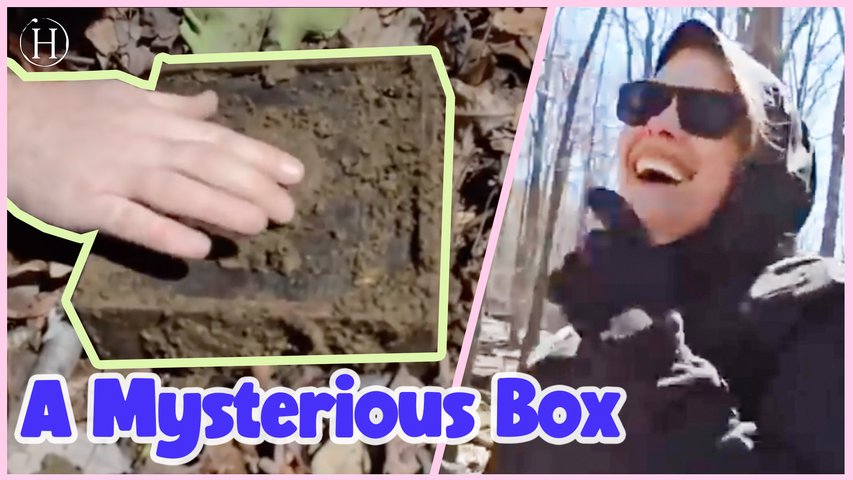 Couple Unearth Mysterious Box | Humanity Life