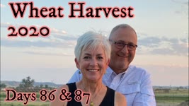 Wheat Harvest 2020 - Days 86 & 87