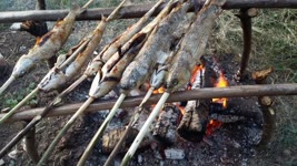 CAMP  Fire - CATCH n COOK FISH - Camping Cooking - Bushcraft