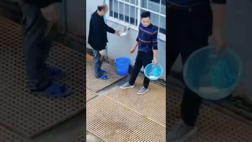 11月6日，在河南省鄭州方艙內隔離的人們，僅用熱水泡冷飯勉強充飢。| #大紀元新聞網  #Shorts