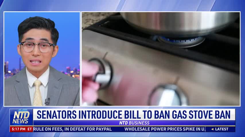 Senators Introduce Bill to Ban Gas Stove Ban