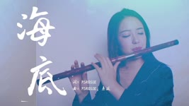 【笛子】《海底》凤凰传奇 “眼泪没有声音，但我想抱紧你”【 Chinese Bamboo Flute cover】| Shirley (Lei Xue)