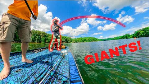 We caught some GIANTS in a jon boat tournament...DEEP Summer bass fishing