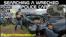 Searching a Wrecked Police Car found a Lost Scared Puppy! Crown Rick Auto