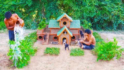 Build So Beautiful Puppy's Villa House