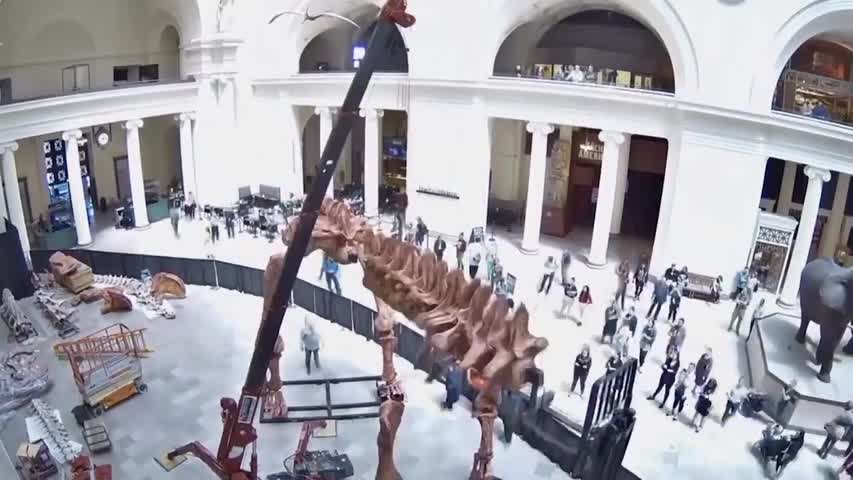 El dinosaurio más grande jamás descubierto ahora vive en Chicago