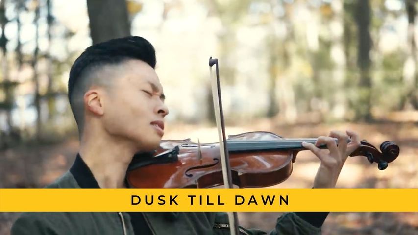 Dusk Till Dawn - Zayn ft. Sia - Violin cover