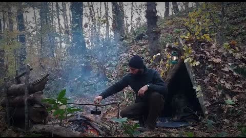 BUILD PRIMITIVE BUSHCRAFT SHELTER | 2 DAY SOLO CAMP | WILD CAMPING