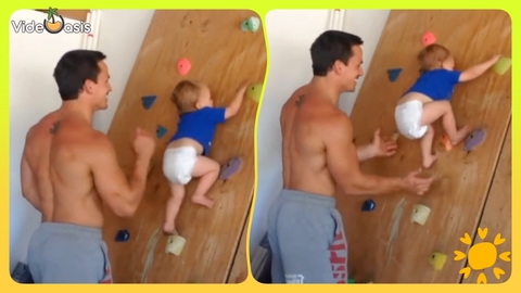 Dad Teaches Baby Boy on Climbing Wall ｜VideOasis