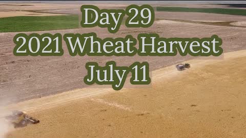 Day 29 - 2021 Wheat Harvest / July 11 (Near New Raymer, CO)