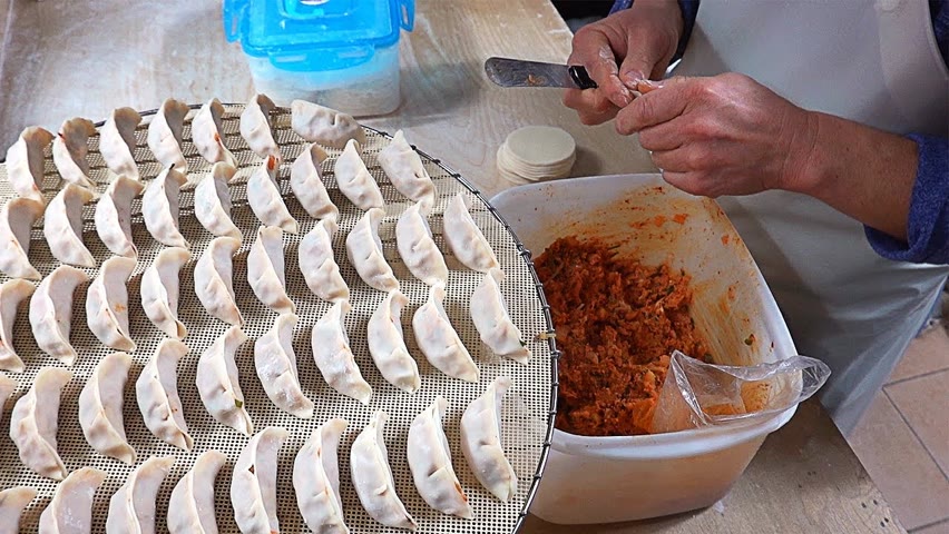 Amazing Skills of Handmade Dumpling Master - Korean Street Food / 수제만두 달인