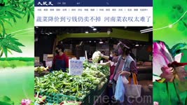 蔬菜降价到亏钱仍卖不掉 河南菜农叹太难了 2022.11.17