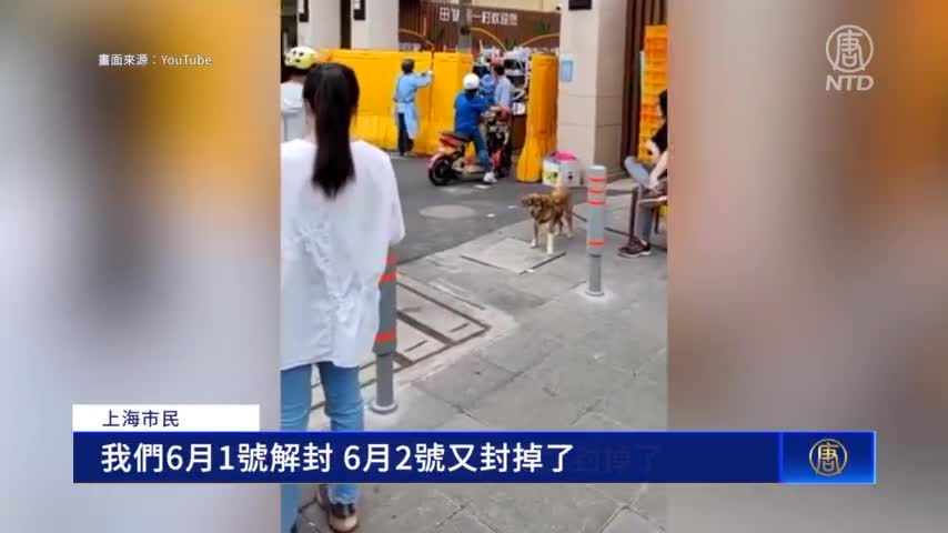 【週五1】上海解封第二天 又現陽性病例 多區再封控