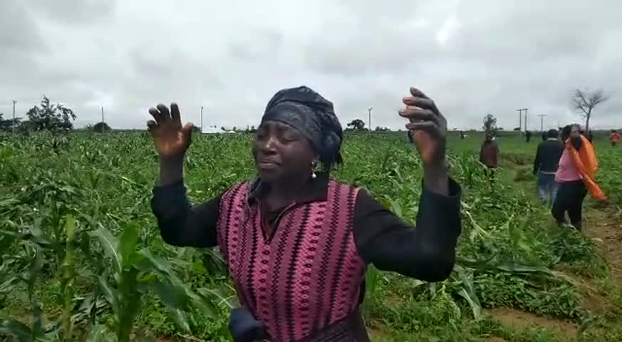 Celina Ishaku from Zanwra weeps over her destroyed farms
