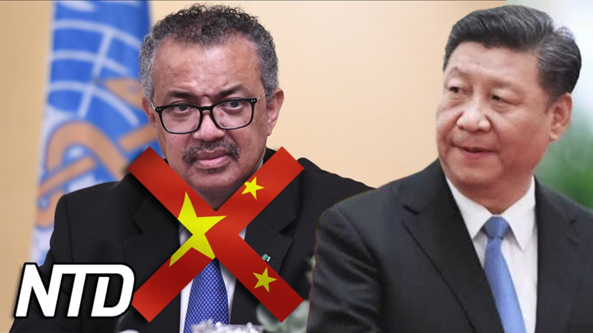 WHO-chefen censurerad i Kina | NTD NYHETER