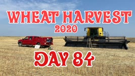 Wheat Harvest 2020 - Day 84