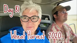 Wheat Harvest 2020 - Day 81