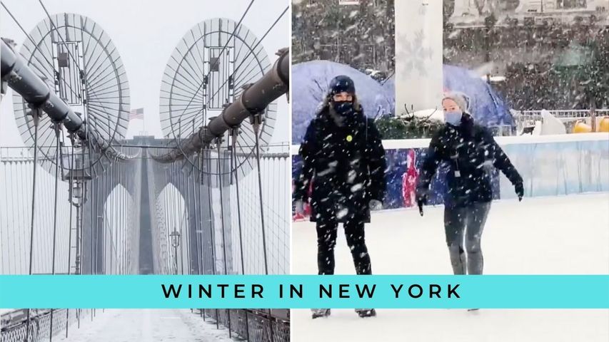 Does Winter in New York Sound Ideal to You? ❄️