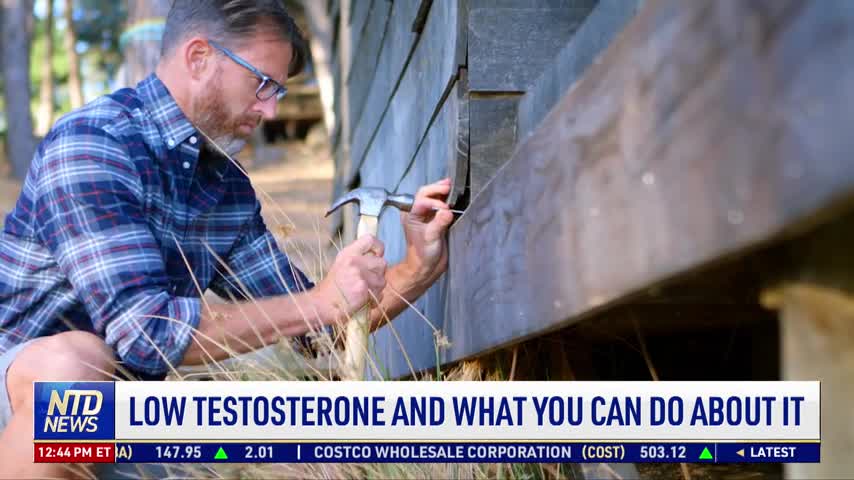 Low Testosterone and What You Can Do About It
