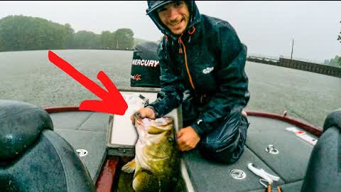 IT BARELY FIT IN THE LIVEWELL!! One of the BIGGEST FISH I've ever caught [summer bass fishing]