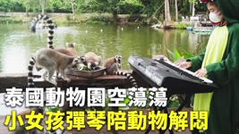 泰國動物園空蕩蕩 小女孩彈琴陪動物解悶 - 動物音樂會 - 新唐人亞太電視台