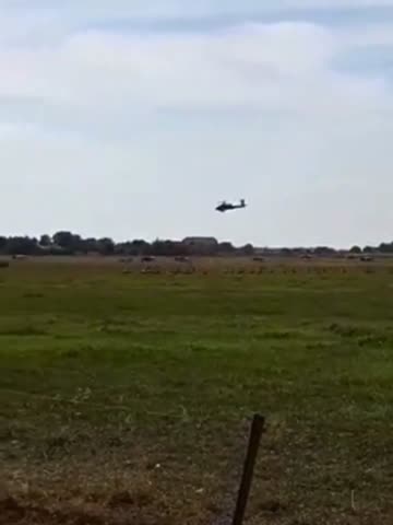 Dutch military fly an Apache helicopter to terrorise cows to SYMBOLISE that the Dutch government and their Military is at WAR with the dairy and beef industry!