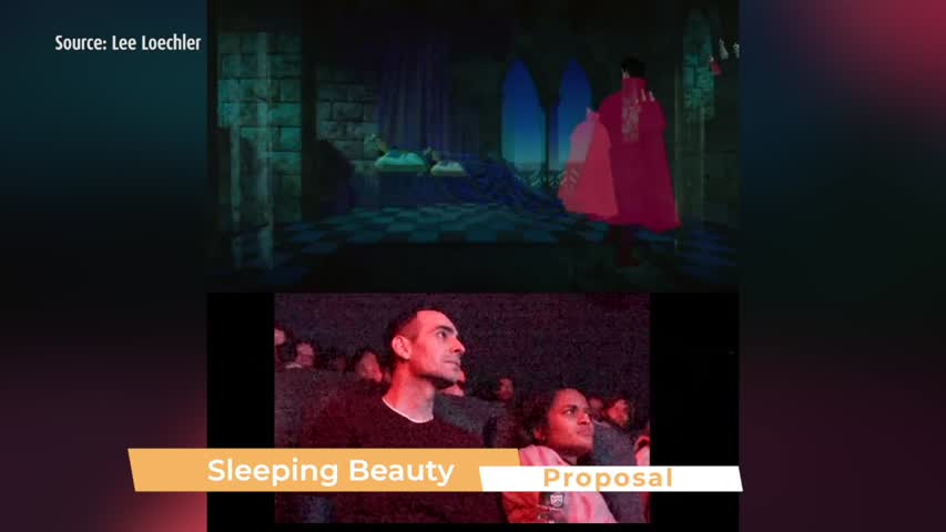 Sleeping Beauty Proposal