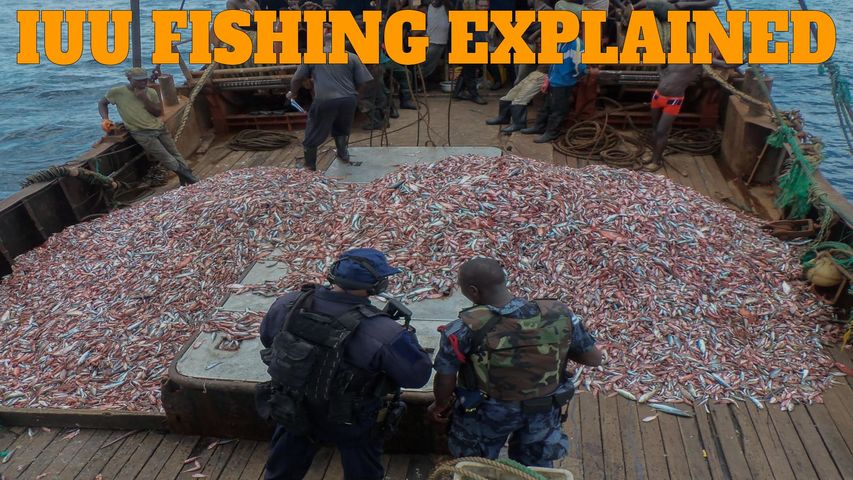 IUU Fishing explained