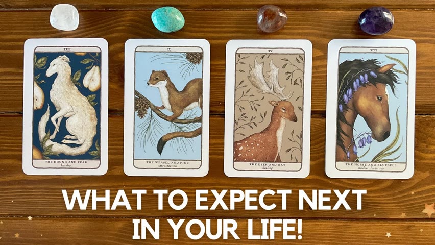 *1-11 Special* What To Expect Next in Your Life?! ✨🌟 👈✨