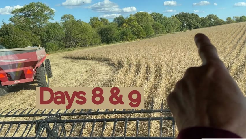 Days 8 & 9 / 2021 Fall Harvest / October 12 & 15
