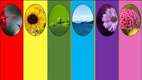 你喜歡的顏色吸引哪種能量 | 色彩性格 色彩能量 色彩心理學 | 馨香雅句第68期