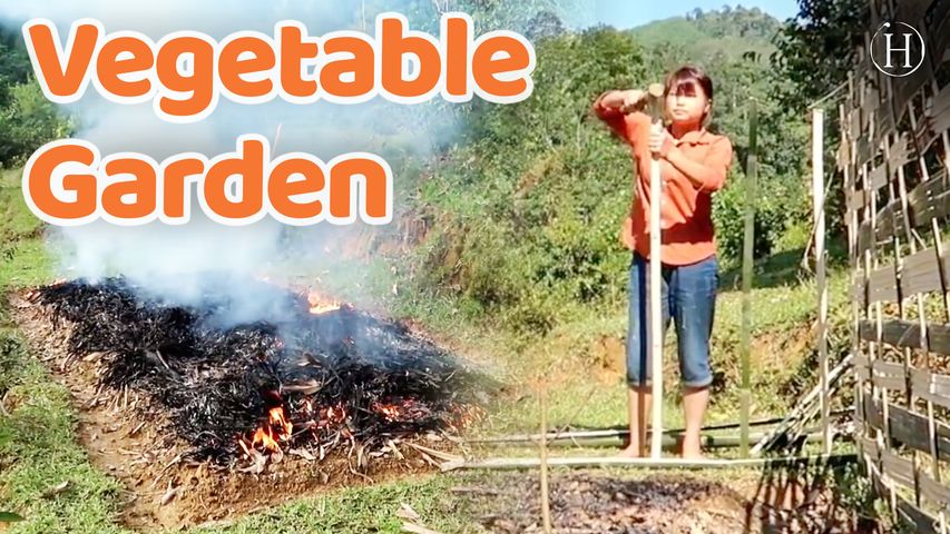How To Make Your Own Organic Vegetable Garden | Humanity Life