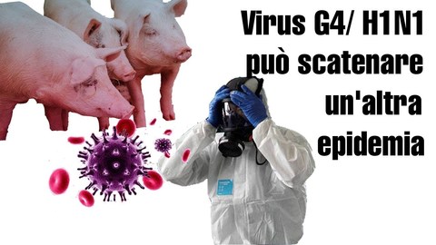 NTD Italia: Ombre Cinesi- Nuovo virus cinese G4 H1N1 che potrebbe scatenare un'altra pandemia