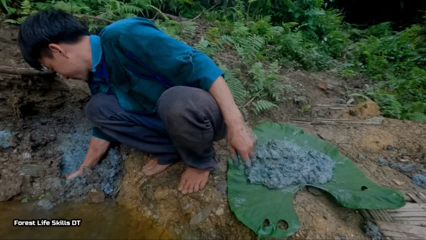 Lots of raw materials come from the ground, Life in the rainforest  | ep 130