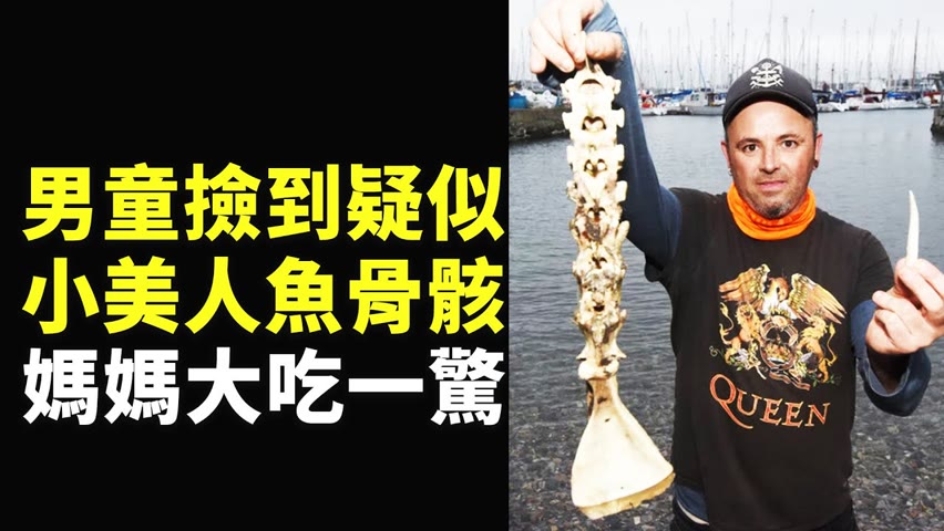 男童撿到疑似小美人魚骨骸 媽媽大吃一驚 - 國際新聞 - 新唐人亞太電視台