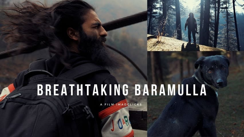 Forests of Baramulla (and a dog) saved the day! 🤲 🐕 Uri was amazing 👏 Kashmir