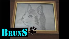 The hard way to draw a cat