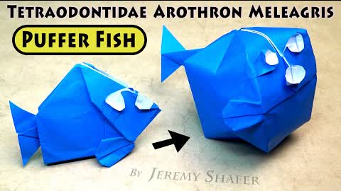 Inflatable Puffer Fish 🐡 Arothron Meleagris 🐡 Pure Origami
