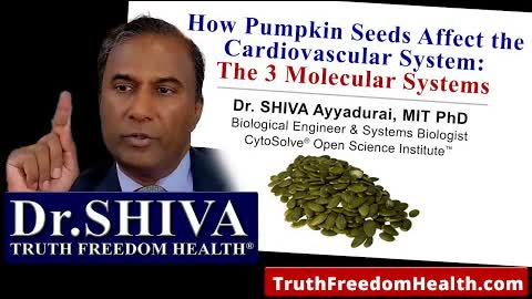 Dr.SHIVA: How Pumpkin Seeds Affects The Cardio Vascular System - The 3 Molecular Systems
