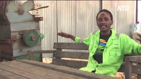 Кенийский стартап перерабатывает пластик и защищает природу