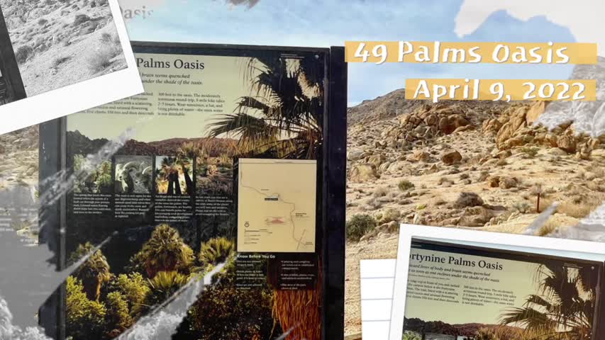 Hiking to 49 Palms Oasis