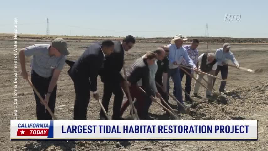Largest Tidal Habitat Restoration Project